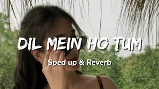 Dil Mein Ho Tum  Sped up amp Reverb [upl. by Julina]