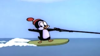 Chilly Willy en Español 🐧Polar Frio  Capitulos 🐧Dibujos Antiguos  Dibujos Animados [upl. by Dloniger]