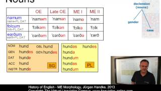 HIS132  ME Morphology [upl. by Annatnom]