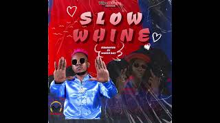 Mbokothostarmboks  Slow Whine ft Worldboy Official Audio [upl. by Rengia576]