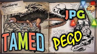 ARK Survival Evolved Pegomastax  Ark Tamed  Creature Spotlight [upl. by Negaem]