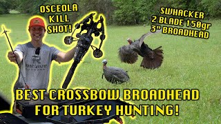 BEST CROSSBOW BROADHEAD FOR TURKEY HUNTING  SWHACKER BROADHEADS TEST  CROSSBOW TURKEY HUNTING [upl. by Zitvaa]