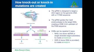 CRISPR solutions how to choose and implement CRISPR in your research [upl. by Tenrag]