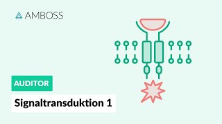 Signaltransduktion Teil 1  Was ist Signaltransduktion  AMBOSS Auditor [upl. by Eugenie]