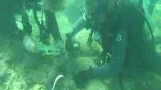 Captain Kidd Wreck Discovery Part I [upl. by Madonna]