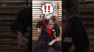 How To Do KEMPO Palm Strike for SELF DEFENSE Shorts [upl. by Neddra548]