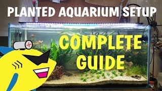 PLANTED AQUARIUM SETUP Complete Guide To A Soil Planted Tank [upl. by Nadnerb]