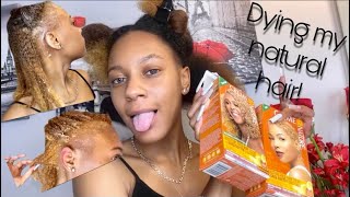 How to dye natural hair blonde  Hair Experiment [upl. by Lore]