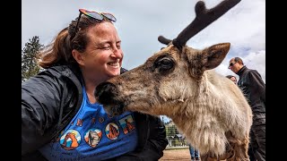 Visiting Leavenworth Reindeer Farm In Leavenworth WA [upl. by Oirottiv847]