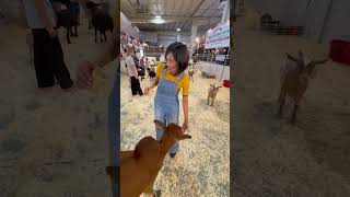 Christina tiene una vaca lechera 🐮 123andres musicainfantil granja shortsfeed shortsvideo [upl. by Ivad754]