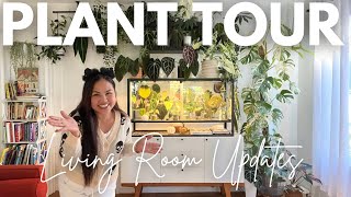 Updated Living Room Plant Tour Fall 2024 ✨🌿 [upl. by Netta]