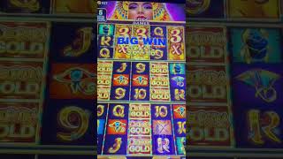 CLEOPATRA GOLD BONUS SHORT vegasslotmachines casinogame winningslots [upl. by Iphagenia]