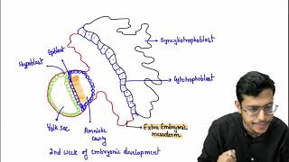 MBBS 1st Year General Embryology Third Week Of Devlopment Part 2 [upl. by Burgwell861]