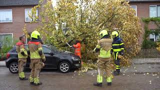 Schade door storm in Goirle en Riel 2112023 [upl. by Oznol]