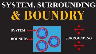 System Surrounding amp Boundry  Basics of The Chemical Thermodynamics  ChemClarity [upl. by Meelak]