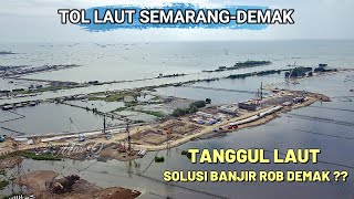 Progres Tol Tanggul Laut Pertama Di Indonesia Tol SemarangDemak  Video Drone [upl. by Nibot]