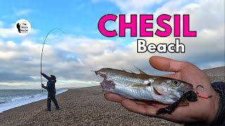 Catch amp Cook Chesil Beach Edition [upl. by Storm859]