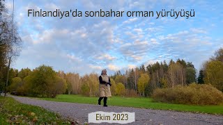 Finlandiyada sonbahar orman yürüyüşü  2023 [upl. by Iaka]