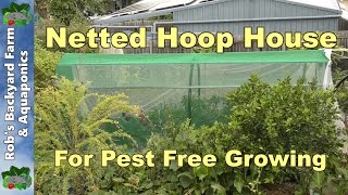 Insect Netting Hoop House For Fruit Fly amp Cabbage Butterflies [upl. by Benjy]