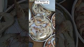 Fish Market at Diveagar Beach fish fishing diveagar beach travel kokan nature shorts [upl. by Brainard]