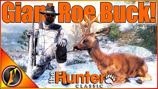 HUGE Roe Deer Buck  Reindeer Hunt in theHunter Classic [upl. by Iuq679]