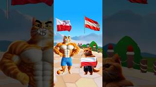 Manakah bendera indonesia shorts animation lucu [upl. by Lorenzana]