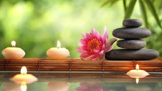 Relaxing Meditation Music  Bamboo Water Sounds Relaxing SpaSoothing music Relieves stress [upl. by Eimat976]