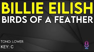 Billie Eilish  BIRDS OF FEATHER  Karaoke Instrumental  Lower [upl. by Aitnas]