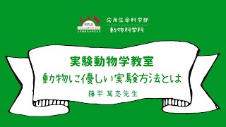 動物に優しい実験方法とは【日本獣医生命科学大学 応用生命科学部 １分動画 実験動物学教室】 [upl. by Salokcin]