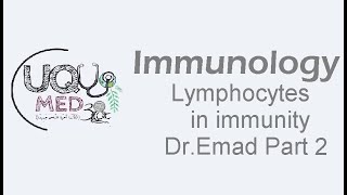 Immunology  Lymphocytes in immunity  DrEmad  Part 2 [upl. by Beauchamp]