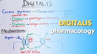 CLEAR understanding of digitalis pharmacology Part 1 Cardiac Glycosides drug for heart failure [upl. by Ittam]