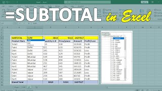 How to use SUBTOTAL function with IF condition in Excel [upl. by Arriec]