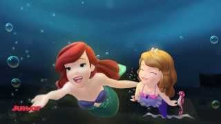 Sofia the First Ft Ariel  The Love We Share Bahasa Indonesia [upl. by Esidnac]