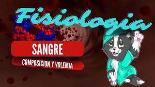 FISIOLOGIA DE LA SANGRE  Parte 1  Composición y volemia [upl. by Undry]