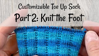 Customizable Toe Up Socks Part 2 Knit the Foot [upl. by Kavanaugh]