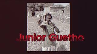 Junior GVida de GuethoOfficial Audio [upl. by Llarret]