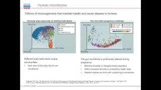 Krishnan Allampallam Microbial pathogenesis and host immune response [upl. by Ayot]