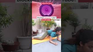 Yoga for Blocked Fallopian Tube Frog stretch fertilityyoga fallopiantubes [upl. by Enialb]