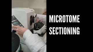 MICROTOME SECTIONING A QUICK DEMO WITH INSTRUCTIONS [upl. by Hanima]