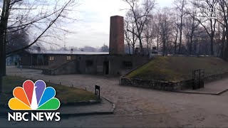 Auschwitz Survivors Return To Death Camp 75 Years Later‌  NBC Nightly News [upl. by Atekahs233]