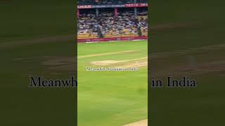 India vs Australia Pitch BorderGavaskar Trophy cricket indiavsaustralia india kohli bumrah [upl. by Buckie]