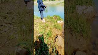 HOOK FISHING TECHNIC I RIVER HOOK FISHING I hooksfishing fishing hookfishing [upl. by Arod]