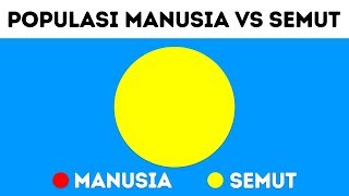 Bagaimana Jika Manusia Hidup Seperti Koloni Semut [upl. by Omlesna]