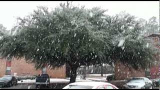 Albany Ga Snow Feb12 2010wmv [upl. by Annayd96]