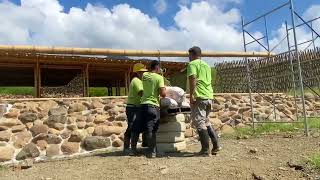 Grading of Bamboo Poles in Colombia  Testing Bending Stiffness of Guadua angustifolia [upl. by Eolande]