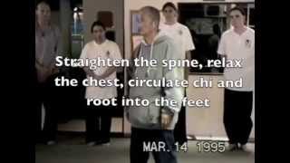 Chi Internal Energy Training zhan zhuang quotholding postquot qigong [upl. by Tomasine131]