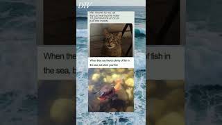 Fish in sea Meme  meme shorts ytshorts  524 [upl. by Giuliana]