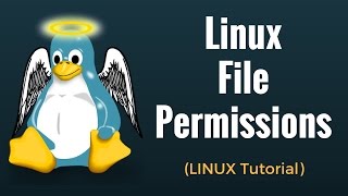 Linux File Permissions Commands with Examples  Linux Tutorial 6 [upl. by Jew]