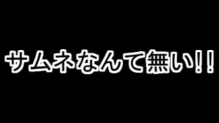 支援会話収集プレイ 12【ファイアーエムブレム 蒼炎の軌跡】 [upl. by Anaes425]