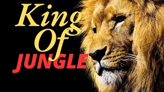 Why lion is called king of the jungle [upl. by Nisotawulo373]